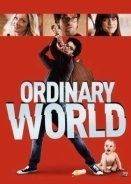 Ordinary World (2016)