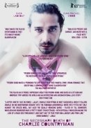 The Necessary Death of Charlie Countryman (2013)