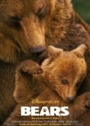 Bears (2014)
