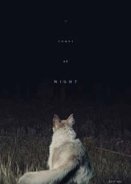 It Comes at Night (2017)