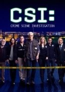 Στον τόπο του εγκλήματος / CSI: Crime Scene Investigation