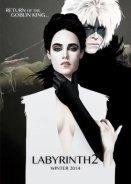 The Labyrinth (2017)