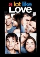 A Lot Like Love 2005