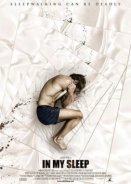 In My Sleep (2010)