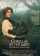Γορίλες στην ομίχλη / Gorillas in the Mist: The Story of Dian Fossey (1988)