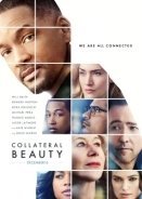 Κρυφή Ομορφιά / Collateral Beauty (2016)