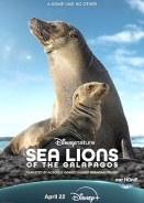Sea Lions of the Galapagos / Θαλάσσια Λιοντάρια στα Νησιά Γκαλαπάγκος (2025)