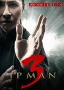 Ip Man 3 2015