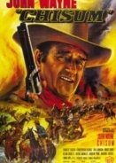 Chisum (1970)