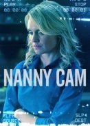 Nanny Cam / Sitter Cam (2014)