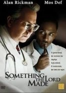 Something the Lord Made (2004)