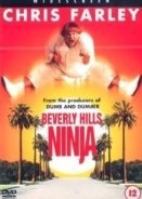 Beverly Hills Ninja (1997)