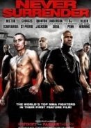 Never Surrender (2009)