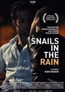 Snails in the Rain (2013)
