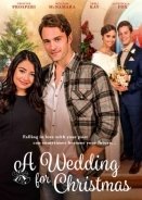 Ένας Γάμος για τα Χριστούγεννα / A Wedding for Christmas (2018)
