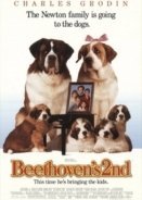Beethoven's 2nd (1993)