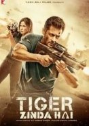 Tiger Zinda Hai (2017)