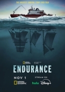 Endurance (2024)