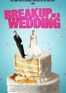 Breakup at a Wedding (2013)