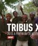 Tribus XXI (ΦΥΛΕΣ)