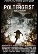The Poltergeist of Borley Forest (2013)