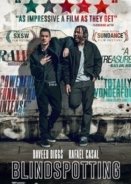 Blindspotting (2018)