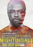 Nightingale (2015)
