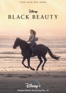 Black Beauty (2020)