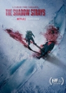 The Shadow Strays / Η Αδέσποτη των Σκιών (2024)