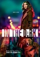 In the Dark (2019)