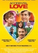 Accidental Love (2015)