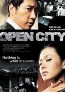 Open City (2008)