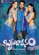 Brindaavanam (2010)