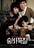 Hide and Seek (2013)