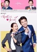 Divorce Lawyer in Love (2015) TV Series