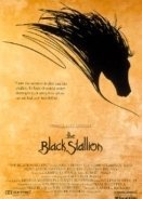 The Black Stallion (1979)