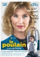 We Need Your Vote / Le Poulain (2018)