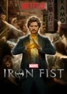 Iron Fist (2017)