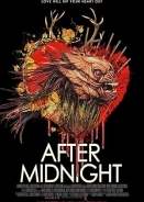 After Midnight (2019)
