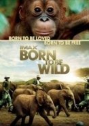 Born to Be Wild (2011)