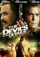 The Devil's in the Details (2013)