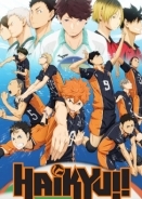 Haikyuu!! (2014)
