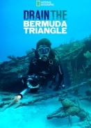 Drain the Bermuda Triangle (2014)