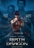 Birth of the Dragon (2016)