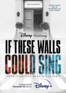 If These Walls Could Sing (2022)