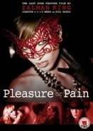 Pleasure or Pain (2013)