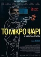 ΤΟ ΜΙΚΡΟ ΨΑΡΙ (2014)