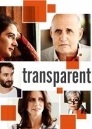 Transparent (2014)