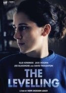 The Levelling (2016)
