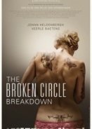 The Broken Circle Breakdown (2012)